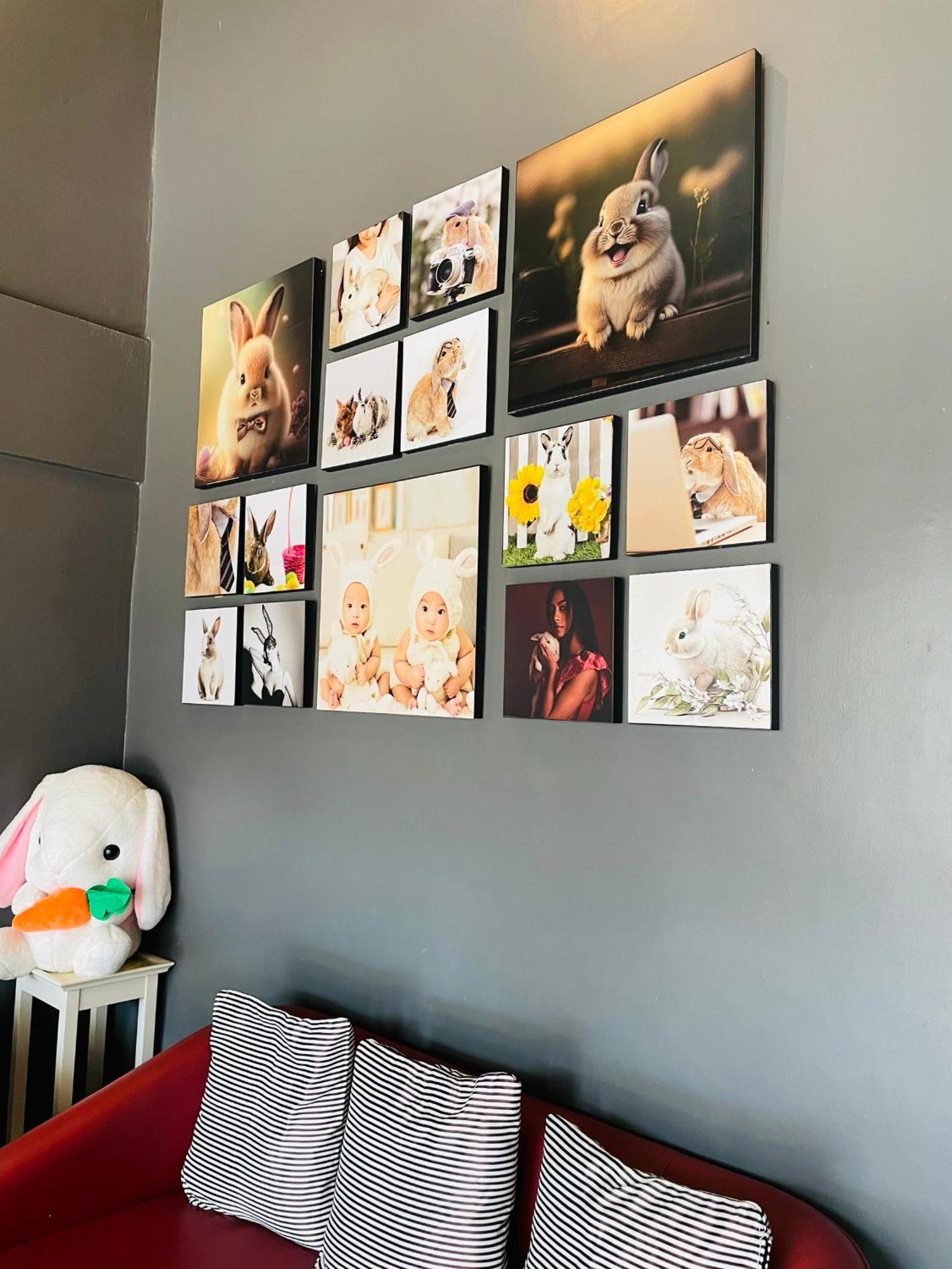 Rabbitel Phuket Hostel Ngoại thất bức ảnh