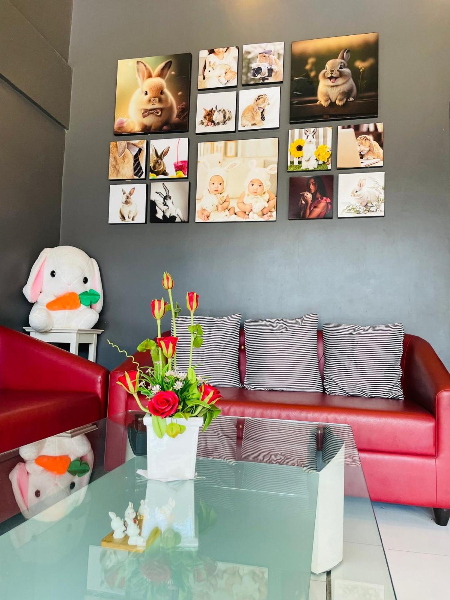 Rabbitel Phuket Hostel Ngoại thất bức ảnh
