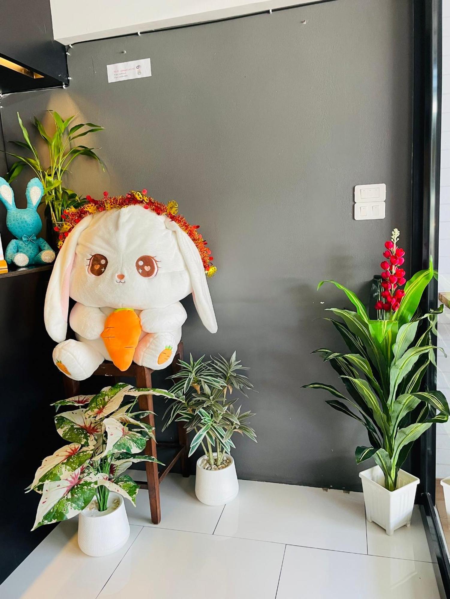 Rabbitel Phuket Hostel Ngoại thất bức ảnh